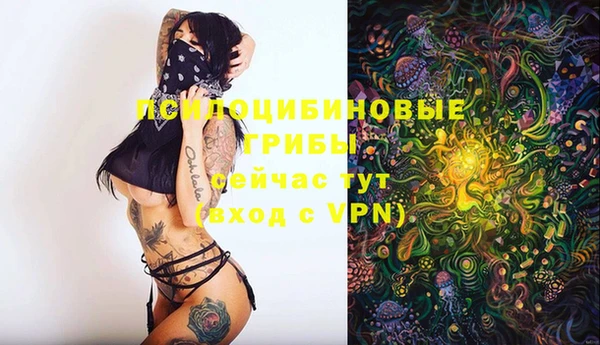 дмт Лихославль