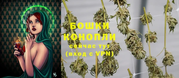 ПСИЛОЦИБИНОВЫЕ ГРИБЫ Липки