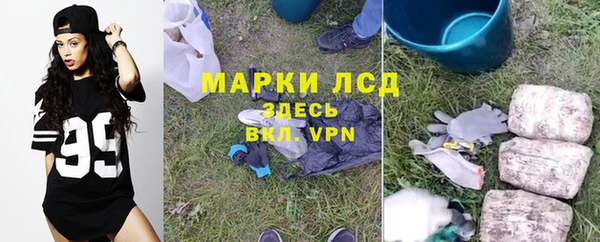 a pvp Павлово