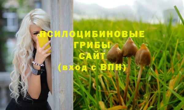 таблы Магас