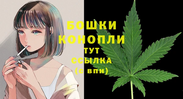 трава Мегион