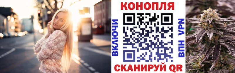 Бошки Шишки план  Никольск 